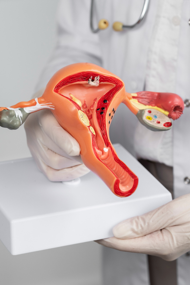 Reproductive Endocrinology